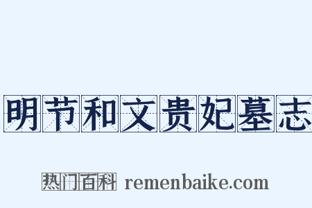 明节和文贵妃墓志是什么意思的图片